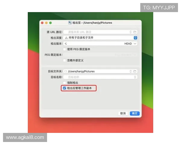 如何安全快速地下载凯发旗舰厅客户端确保软件正版与使用顺畅