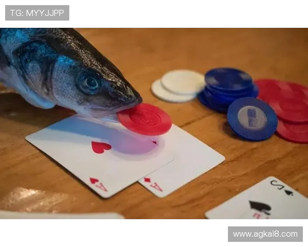 德州扑克常见错误与避免方法，帮助玩家稳步提升游戏水平